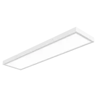 Pinnapealne LED valgusti LONG 40W IP41 4000K 3868lm DALI  valge