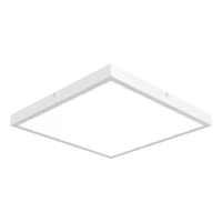 Pinnapealne LED valgusti QUADRA 40W IP41 4000K 3512lm DALI  valge