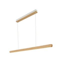 Ceiling pendant Nature ILGAS