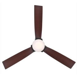 Ceiling fan with remote EVAN