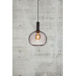 Pendant light black Alton 25