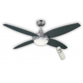 Ceiling fans with remote