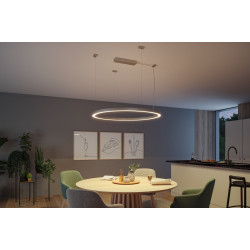 Trafo dėžė Zigbee 230/24V maks. 144W matinė chromo spalva