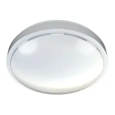 Lubų šviestuvas LENS - R