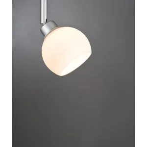 Glass dome round Wolbi