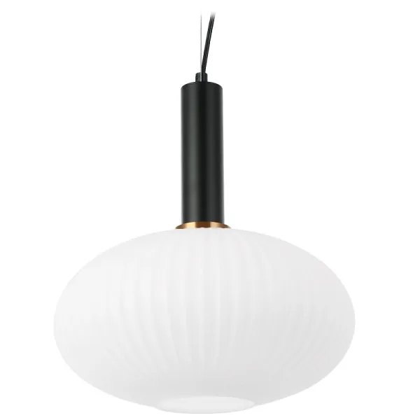 Pakabinamas šviestuvas REMI