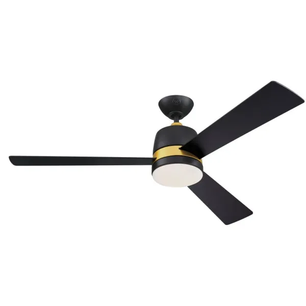 Kattotuuletin kaukosäätimellä, musta TRISTAN