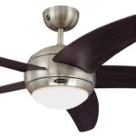 Ceiling Fans