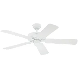 Lubinis ventiliatorius MONARCH