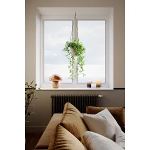 Pöytävalaisin Mira Mushroom luonnonväriä