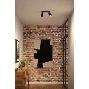 Spotlight GU10 2x10W Black LIRENA