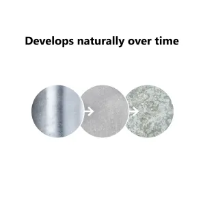 Wall light Galvanized Linton