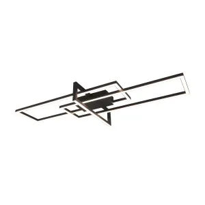 Laelamp must SALINAS