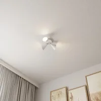 Kohtvalgusti LUX