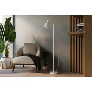 Lattiavalaisin CASSIUS