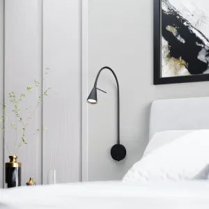 Sieninė juoda lempa Amara