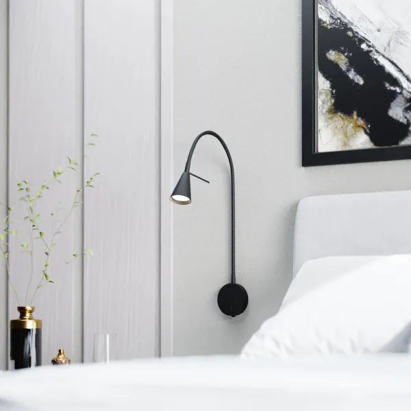 Sieninė juoda lempa Amara