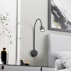 Sieninė juoda lempa Amara