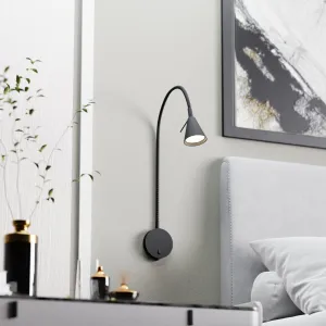 Sieninė juoda lempa Amara