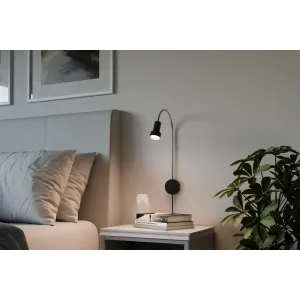 Sieninis šviestuvas juodas Colton Flex