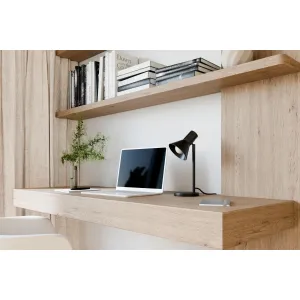 Laualamp Malone must