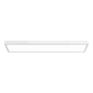 Ceiling LED light LONG 40 - 42W IP41 4000K 3868 - 5500 standard white