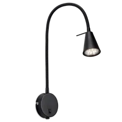 Sieninė juoda lempa Amara