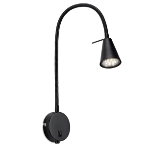 Sieninė juoda lempa Amara