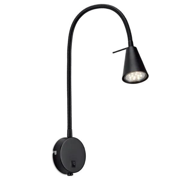 Sieninė juoda lempa Amara