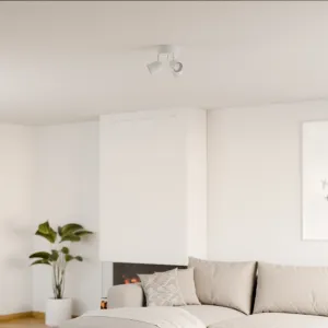 Balta lubų šviesa SIERRA