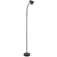 Floor light black Juniper