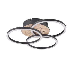 Ceiling light 27W 3200lm 2700 - 6000K CIRCLE
