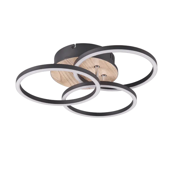 Ceiling light 27W 3200lm 2700 - 6000K CIRCLE